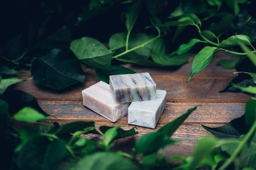All-natural bar soap stacked in between a reef of green leaves