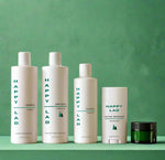 The "Clean Slate Bundle" featuring Happy Lad's original sulfate-free Shampoo, Happy Lad's Northwoods essential oil scented natural men's body wash made with organic ingredients, Hydrating all-natural Face Wash for men, Northwoods essential oil scented men's Natural Deodorant, and a all-natural Face Moisturizer for men in a green glass jar. It's natural men's soap made affordable for the modern man.