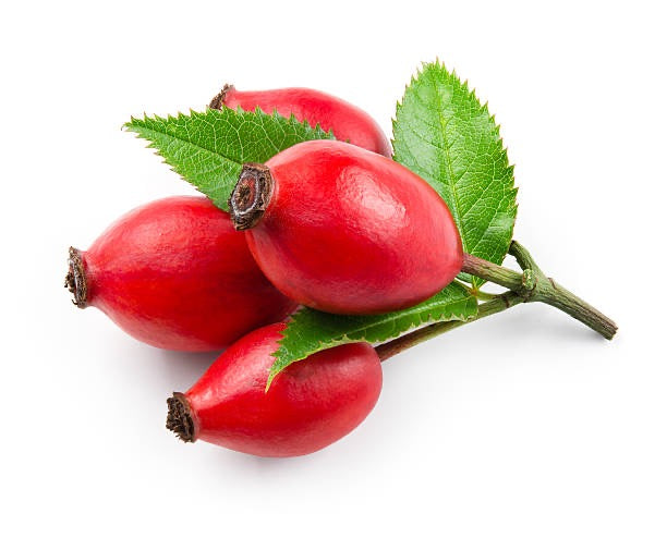 Photo of natural/organic rose hip berries on stem as a key ingredient in Happy Lad's all-natural face moisturizer.